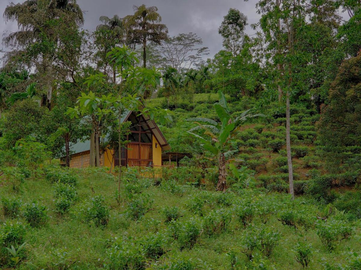 Rainforest Cabin Денияя Екстериор снимка