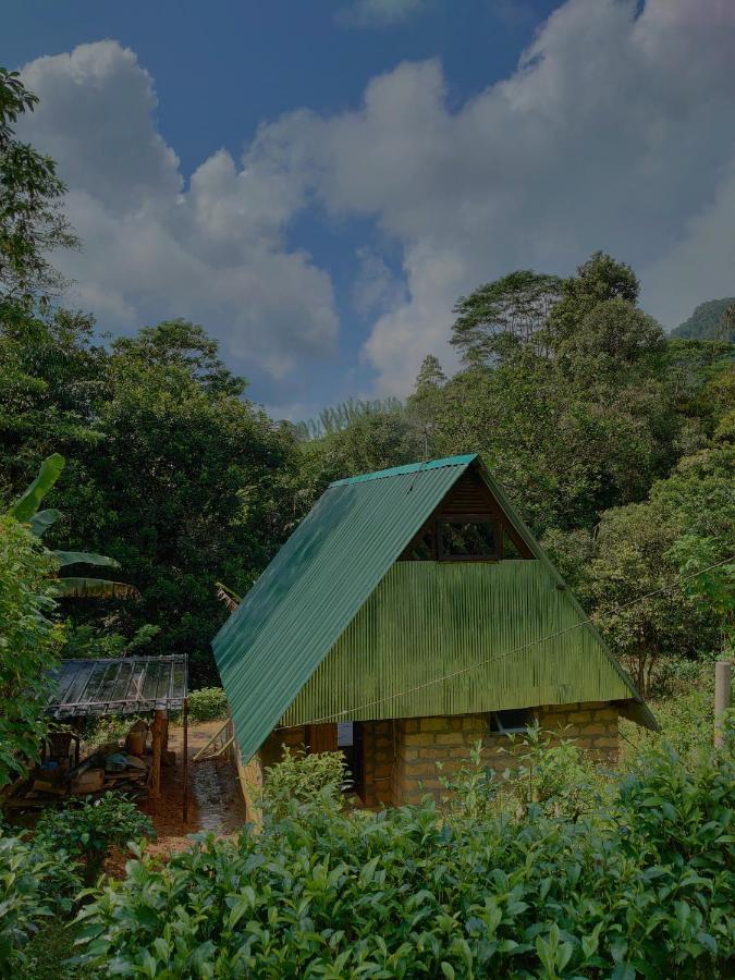 Rainforest Cabin Денияя Екстериор снимка