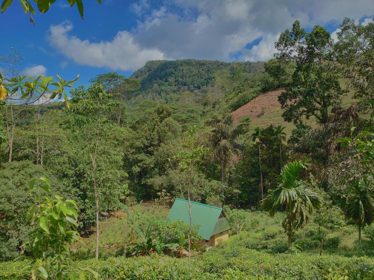Rainforest Cabin Денияя Екстериор снимка