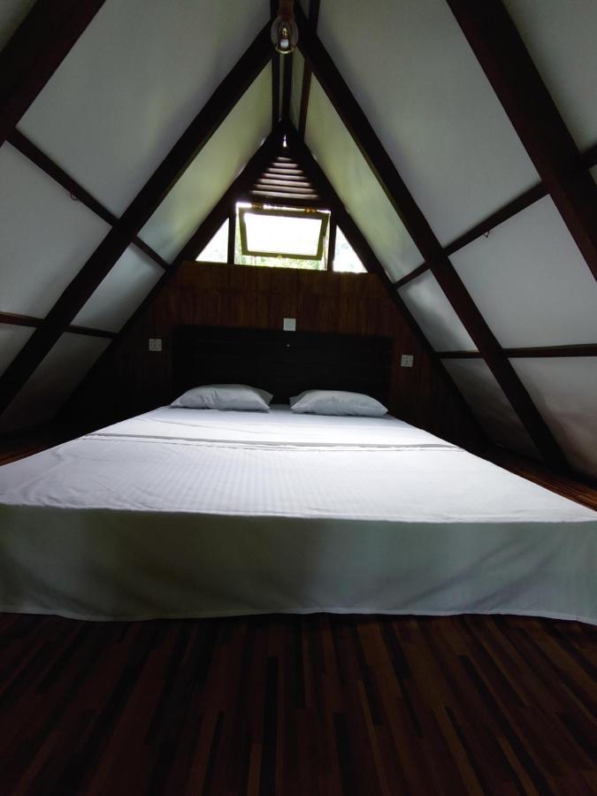 Rainforest Cabin Денияя Екстериор снимка