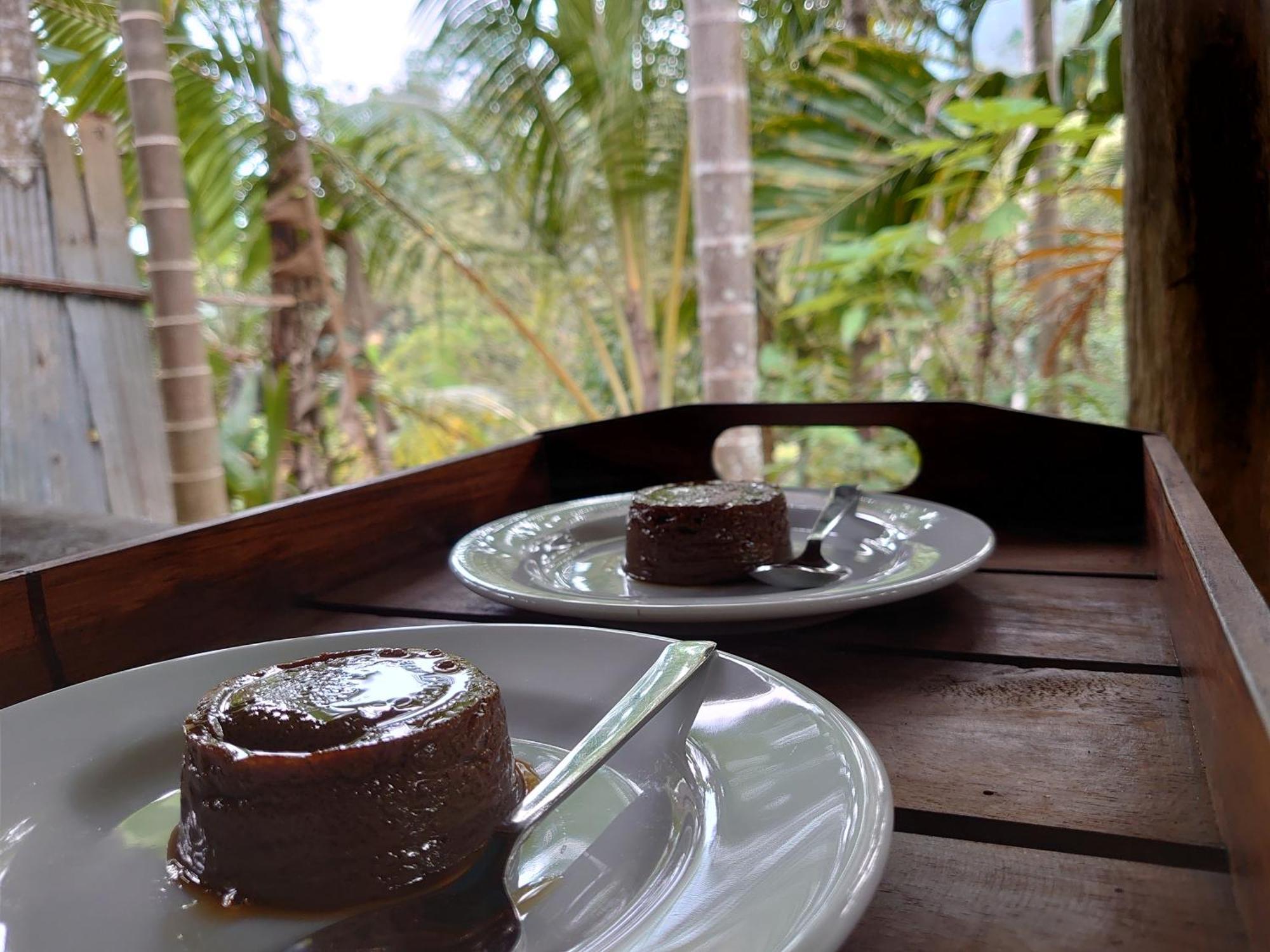 Rainforest Cabin Денияя Екстериор снимка