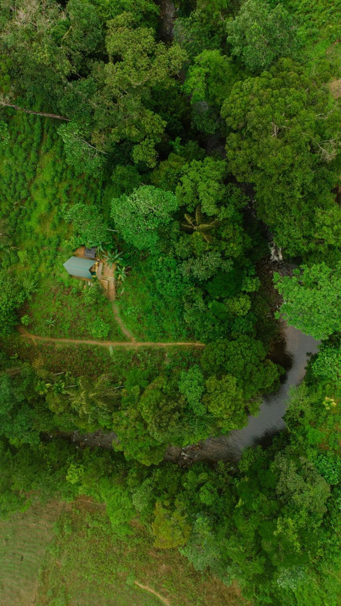 Rainforest Cabin Денияя Екстериор снимка