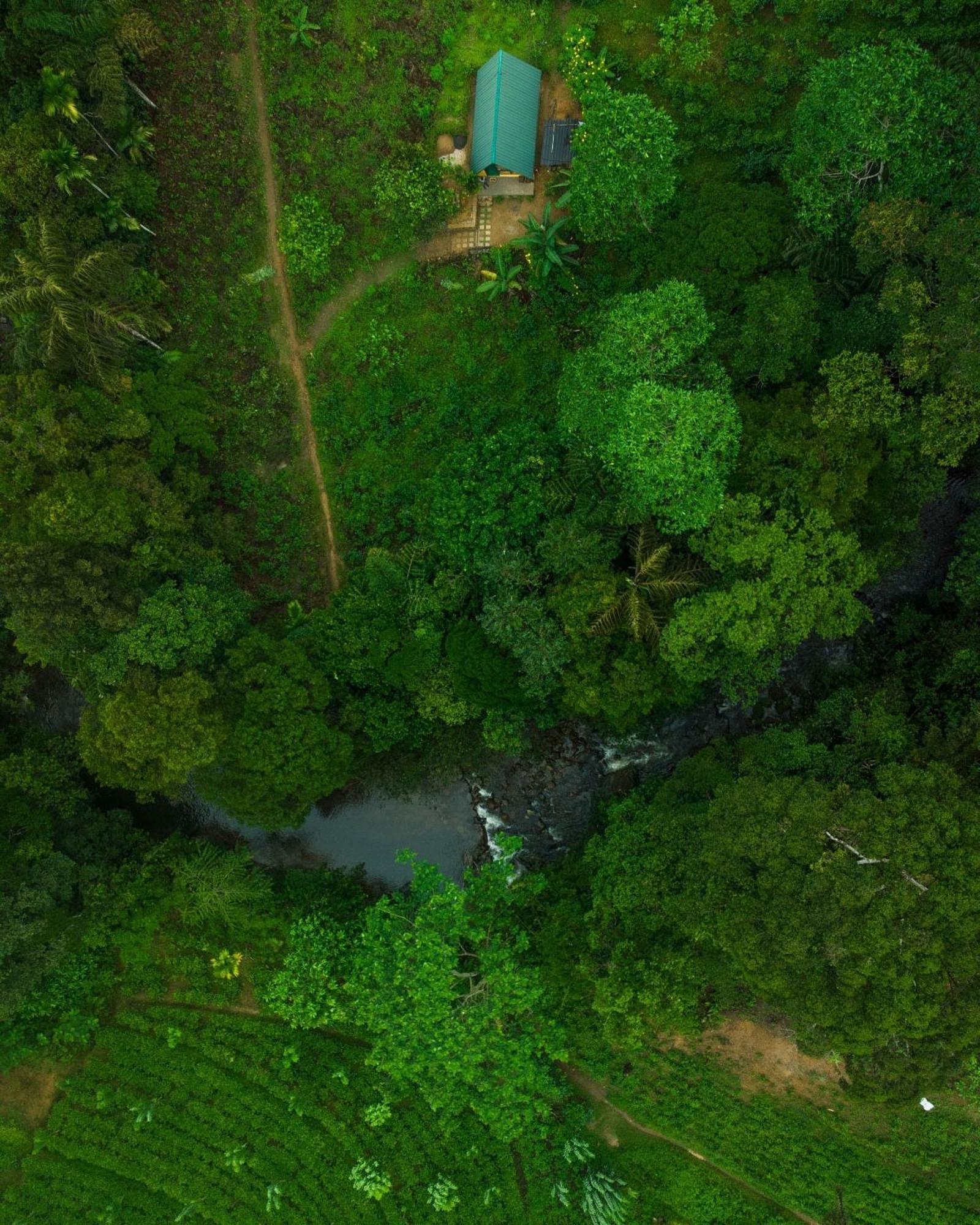 Rainforest Cabin Денияя Екстериор снимка