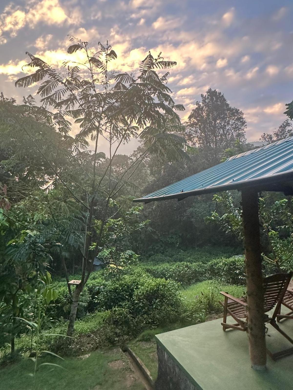 Rainforest Cabin Денияя Стая снимка