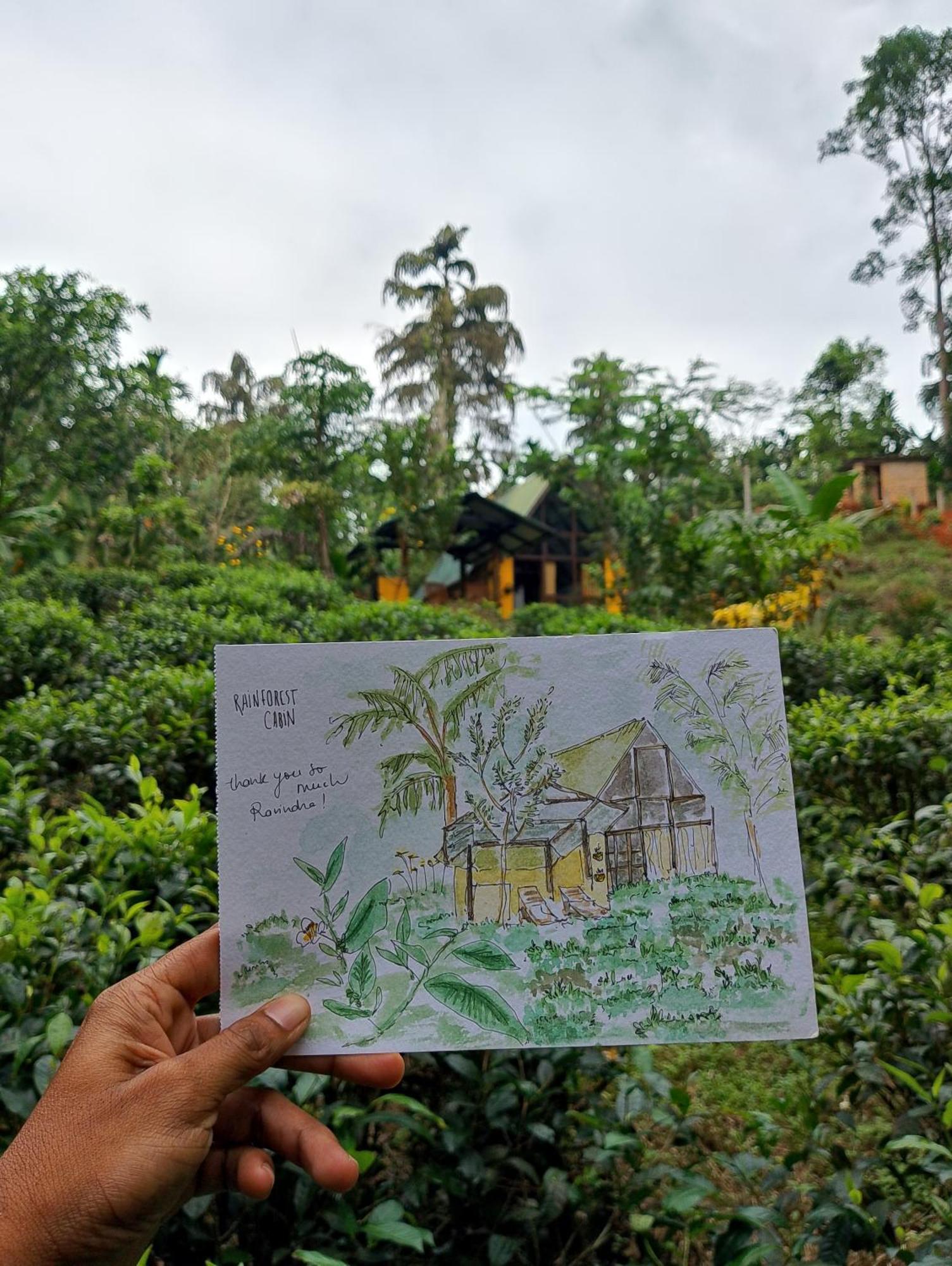 Rainforest Cabin Денияя Екстериор снимка